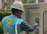 PLN Sukses Kawal Pasokan Listrik Upacara HUT Kemerdekaan RI Terakhir di Istana Presiden Jakarta