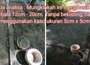 KADES CICADAS MUNCUL BERIKAN KLARIFIKASI DENGAN ARGUMEN YANG TIDAK JELAS