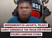 Bersembunyi di Jakarta, Pelaku Curat Diringkus Tekab 308 Presisi Polres Lampung Utara