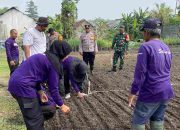Polisi bersama Warga Desa Bakungtemenggungan Siapkan Lahan Produktif Wujudkan Ketahanan Pangan