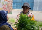 Polsek Balongbendo Bersama Warga Panen Kangkung dari Lahan Desa Bakungtemenggungan