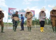 1 Juta Hektar Jagung, Pj. Bupati Aceh Timur Dukung Swasembada Pangan