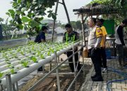 Wakapolresta Sidoarjo Tinjau Pelaksanaan Ketahanan Pangan di Desa Ponokawan Krian