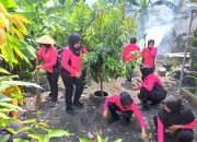 Ranting Tanggulangin Bhayangkari Cabang Kota Sidoarjo Kelolah Pekarangan Pangan Lestari