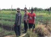 Bhabinkamtibmas Desa Punggul Bersama Warga Cek Lahan Ketahanan Pangan