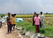 Dukung Ketahanan Pangan, Polsek Balongbendo Aktif Dampingi Warga