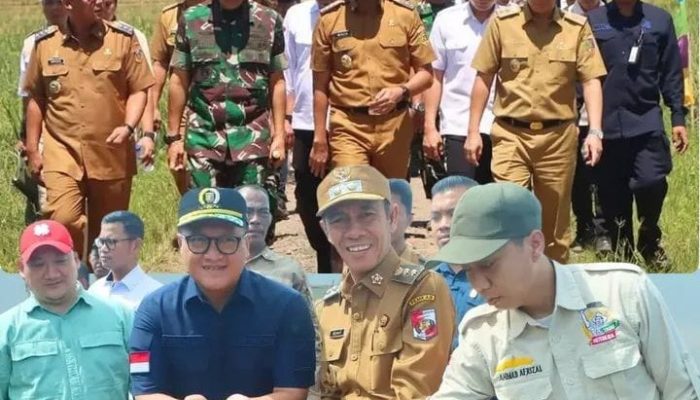 Wakil Bupati Lampung Utara Hadiri Panen Raya Serentak Bersama Gubernur Lampung