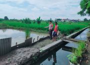 Polsek Sukodono Dukung Warga Budidaya Ikan Nila