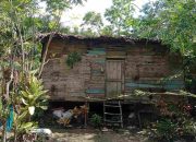 Rumah Warga Yang Sudah Tidak Layak Huni Di Simpang Ulim Tak Kunjung Mendapatkan Bantuan Dari Pemerintah
