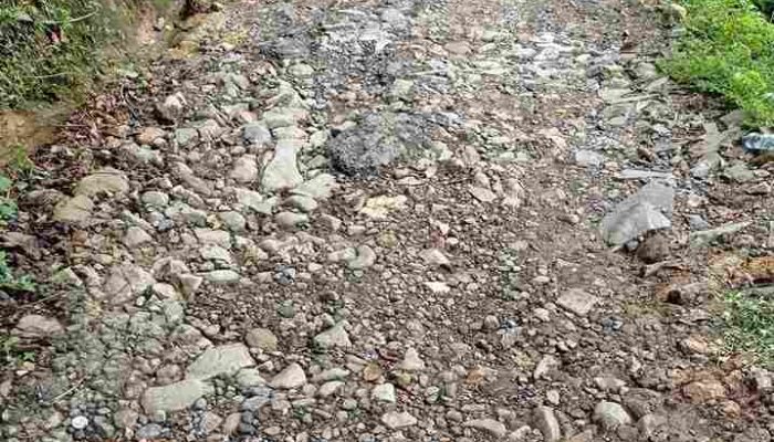 Gunung Tanjung: Saat Jalan Raya Menjadi Arena Uji Nyali”