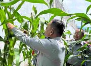 Lapas Idi Panen Jagung dan Melon, Wujud Nyata Dukung Program Ketahanan Pangan Nasional