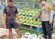 Dukung Ketahanan Pangan, Bhabinkamtibmas Desa Bangah Tinjau Pertanian Hidroponik