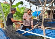 Dukung Ketahanan Pangan Bhabinkamtibmas Desa Kwangsan Tinjau Peternakan Ikan Lele