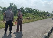 Personil Polsek Tarik Tinjau Langsung Peternakan Kambing