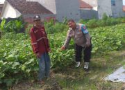 Dukung Ketahanan Pangan, Bhabinkamtibmas Desa Betro Dorong Pengembangan Tanaman Kacang Hijau