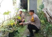 Bhabinkamtibmas Desa Semampir Dukung Swasembada Pangan Lewat Budidaya Tanaman Cabe, Wujudkan Ketahanan Pangan Polresta Sidoarjo