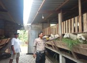Bhabinkamtibmas Desa Gemurung Dukung Program Asta Cita dan Swasembada Pangan Lewat Peninjauan Peternakan Kambing