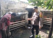 Bhabinkamtibmas Desa Tengulunan Kecamatan Candi Hadir di Tengah Masyarakat, Dampingi Warga Manfaatkan Pekarangan untuk Berternak Ayam