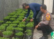 Wujudkan Ketahanan Pangan Polresta Sidoarjo Polsek Sedati Melaksanakan Pengecekan Tanaman Kangkung