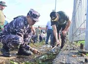 Sinergitas Lanudal Juanda Bersama Forkopimda Tanam 1000 Pohon Puli Dan Kerja Bakti Massal Di Bundaran Fly Over Aloha Sidoarjo