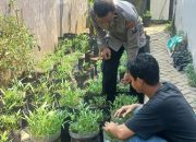 Bhabinkamtibmas Desa Pranti Kunjungi Lahan Kangkung Wujud Dukung Ketahanan Pangan Polresta Sidoarjo