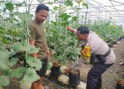 Bripka Achmad Hariyadi Dukung Ketahanan Pangan Lewat Kunjungan ke Petani Pisang