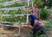 Bhabinkamtibmas Desa Sumorame Ajak Warga Menanam Tanaman Hidroponik