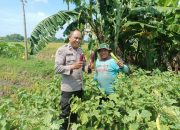 Bhabinkamtibmas Sidokepung Aipda Adi Maret Panen Terong Bersama Petani, Dukung Ketahanan Pangan Polresta Sidoarjo
