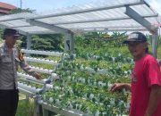 Bhabinkamtibmas Desa Gelam Ajak Warga Menanam Sayur untuk Ketahanan Pangan