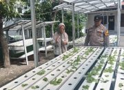 Bhabinkamtibmas Ajak Warga Desa Balonggabus Manfaatkan Pekarangan Rumah untuk Menanam Sayur Secara Modern