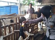 Kanit Binmas Polsek Gedangan dan Bhabinkamtibmas Desa Ganting Tinjau Lahan Ketahanan Pangan Peternakan Kambing