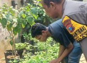 Aiptu Dadan Badar Kunjungi Petani Bayam Dukung Ketahanan Pangan Polresta Sidoarjo