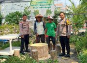 Bhabinkamtibmas Desa Bangah Kunjungi Asman Toga, Dukung Swasembada Pangan Lewat Ketahanan Pangan Polresta Sidoarjo