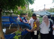 Melalui Bhabinkamtibmas Polsek Candi aktif dorong warga untuk memanfaatkan lahan kosong menjadi Produktif