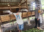 Aipda Hartono, Bhabinkamtibmas Desa Prasung Ajak Warga Wujudkan Swasembada Pangan Melalui Ternak Kambing