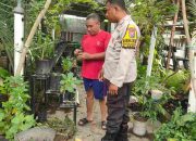 Dukung Ketahanan Pangan, Bripka Achmad Hariyadi Ajak Warga Manfaatkan Pekarangan
