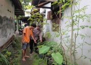 Dukung Ketahanan Pangan, Bripka Herman Susilo Ajak Warga Manfaatkan Pekarangan