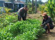 Polsek Sedati Dorong Swasembada Pangan, Aiptu Sulaiman Dampingi Petani di Desa Buncitan