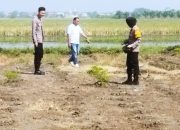 Dukung Ketahanan Pangan Brigadir Dwi Retno Putri Kunjungi Lahan Jagung