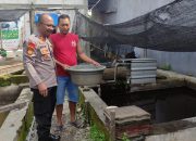 Kanit Binmas Polsek Taman Kunjungi Kolam Lele Warga Kedungturi, Dukung Asta Cita Presiden Prabowo di Bidang Ketahanan Pangan