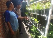 Bhabinkamtibmas Polsek Candi Galakkan ‘program pekarangan pangan bergizi’ untuk Ketahanan Pangan Keluarga