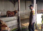 Dukung Ketahanan Nasional, Polisi Cinta Petani Polsek Gedangan Polresta Sidoarjo Dorong Swasembada Pangan Warga