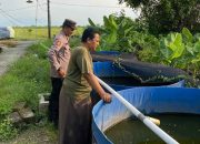 “Polisi Cinta Petani”,Anggota Polsek Taman Sambangi Kolam Lele Warga di Wonocolo, Dukung Ketahanan Pangan Nasional