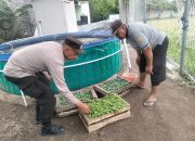 Bhabinkamtibmas Wadungasih Dorong Warga Budidaya Lele dan Tanam Sayur, Wujudkan Swasembada Pangan
