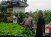 Polresta Sidoarjo Dorong Swasembada Pangan, Bhabinkamtibmas Keboansikep Tinjau Inovasi Hidroponik