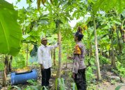Sambangi Petani di Desa Sidodadi Taman, Wujud Polisi Cinta Petani dan Dukung Ketahanan Nasional