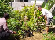 Aiptu Budi Santoso Kunjungi Kebun Tomat dan Cabai Dukung Ketahanan Pangan di Wilayah Binaan