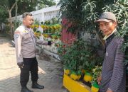 Aiptu Agus Adiyanto Cek Ketahanan Pangan Tanaman Cabai di Tengah Musim Pancaroba