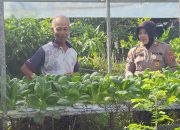 Dukung Ketahanan Nasional, Kanit Binmas Ajak Warga Desa Punggul Kembangkan Sayuran Hidroponik