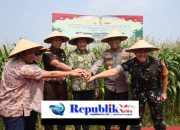 Dukung Swasembada Pangan Nasional 2025, Pemkab Sidoarjo Bantu 300 Ton Benih Jagung